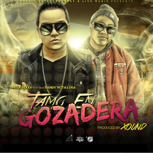 Tamo en Gozadera (Radio Edit) [feat. Randy Nota Loka]