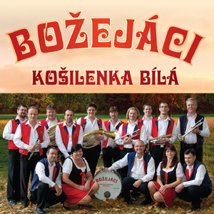 V branských lukách