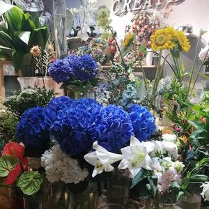 飞鸟和蝉-mix-改