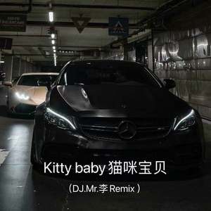 Kitty baby猫咪宝贝（DJ.Mr.李Remix ）