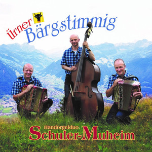 Am Schwingerabig