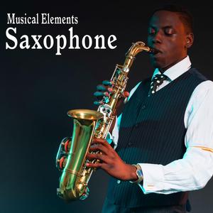Baritone Saxophone Plays a Two Tone Sneaky Accent