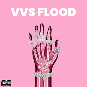 VVS Flood