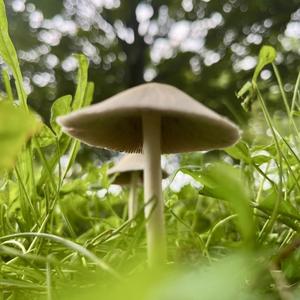 jennnyisveryfunny.wav