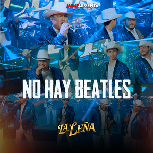 No Hay Beatles