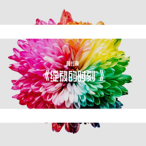 绽放的时刻 伴奏