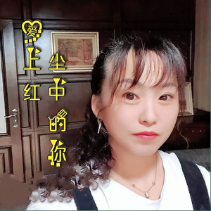 爱上红尘中的你