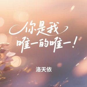 你是我唯一的唯一