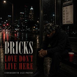 BRICKS... Love Dont Live Here