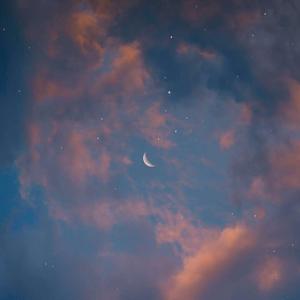 孤獨的人有他們自己的沼澤