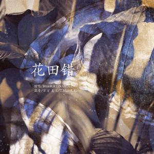 花田错（翻自 王力宏）