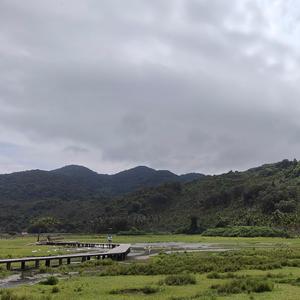 音符的星芒