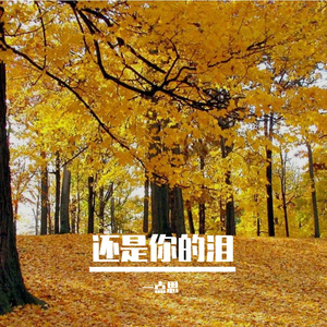 还是你的泪 伴奏