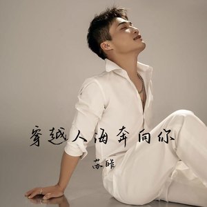 穿越人海奔向你 (苏皓DJ版)