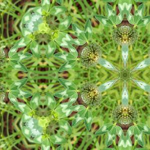 As we surrender to your divine will, in perfect unity