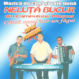 Frunzulita mar salciu