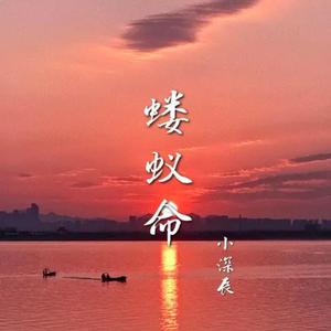 蝼蚁命