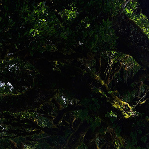 今天是十二月一日