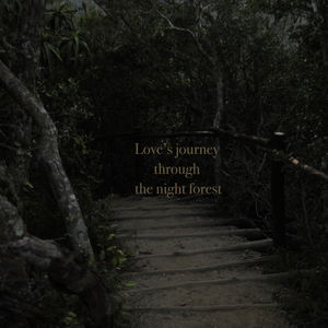 Love's journey through the night forest