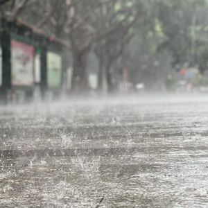 雨中独奏