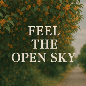 Feel the open sky