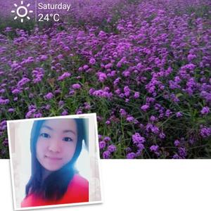 落雨的秋(无和声版)_☀阿瓦000