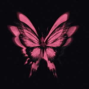 บานปลาย (best wishes)