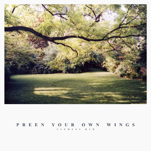 Preen Your Own Wings