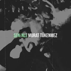 Seni̇nle