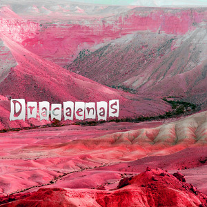 Diamonds Rosemary Schefflera