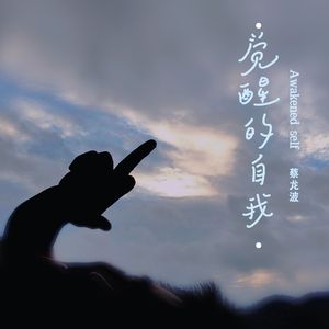 觉醒的自我 伴奏