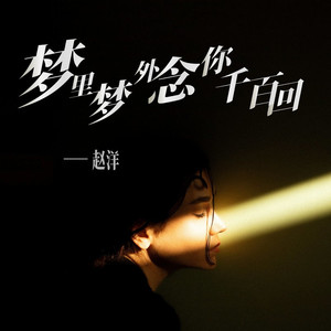 梦里梦外念你千百回 (DJ阿能版)