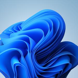 我爱你你却爱着她