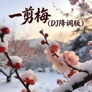 一剪梅 (DJ版)