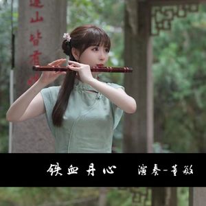 铁血丹心（笛子版）
