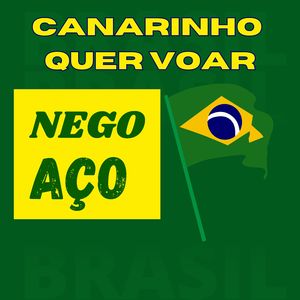 CANARINHO QUER VOAR
