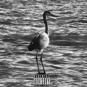 NONE（Prod by.风味茄紫少喝酒）