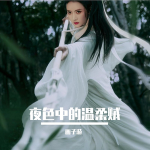 夜色中的温柔贼