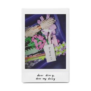 dear diary (Live Version)