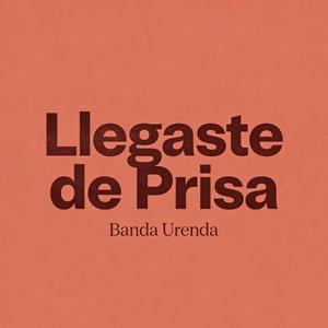 llegaste de prisa