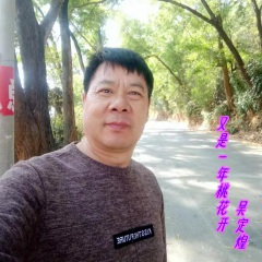 又是一年桃花开