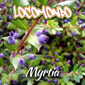 Myrtia