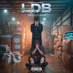 LDB