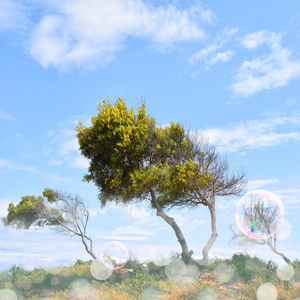 생각의 힘 (지혜로운 성찰)