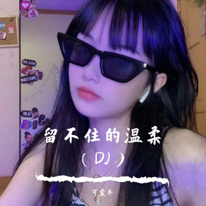 留不住的温柔（DJ）
