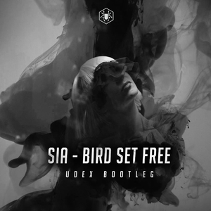 Bird Set Free (Udex Bootleg)