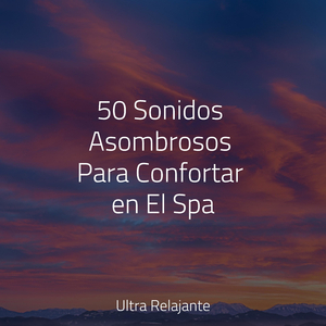 Relájate en Armonía