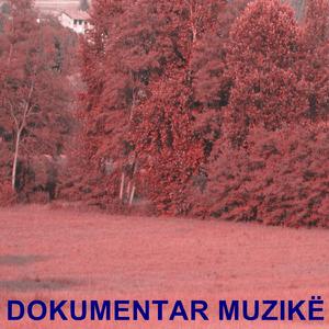 Dokumentar Muzikë