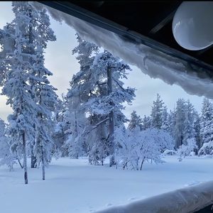 执手问年华-昌 伴奏