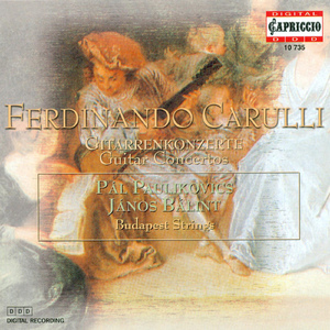 Concerto for Flute and Guitar, Op. 8:II. Thema con variazioni: Larghetto